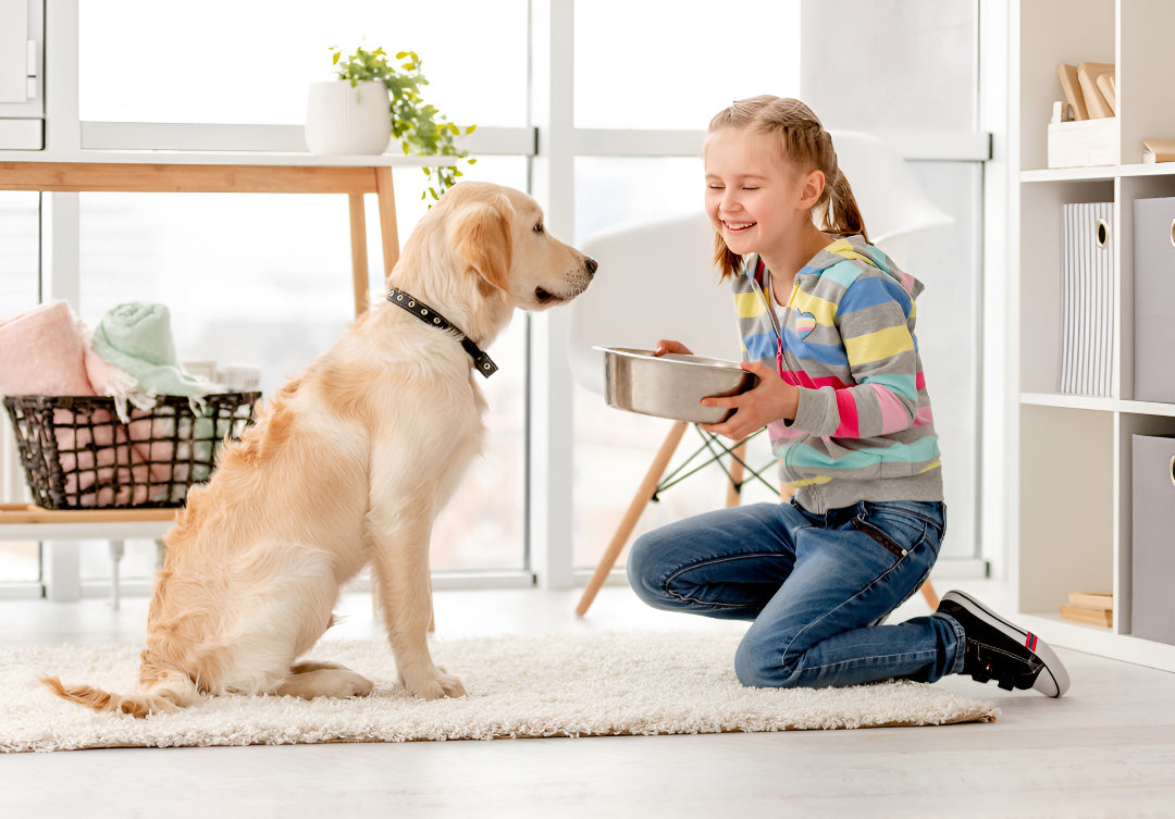 Healthy Feeding Supplies For Happy Pets